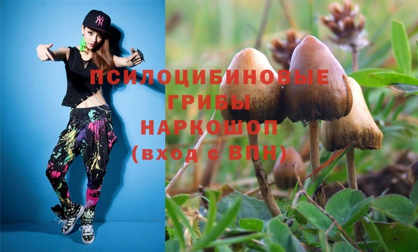кокс Покачи